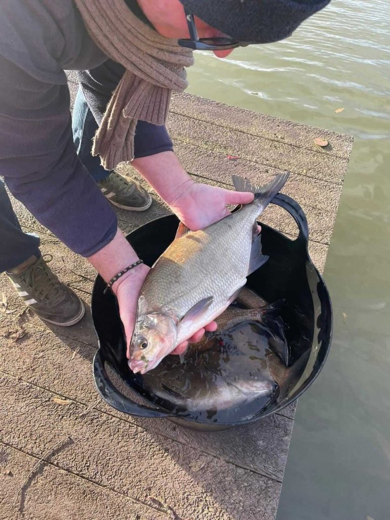 Moorfields Farm Fisheries